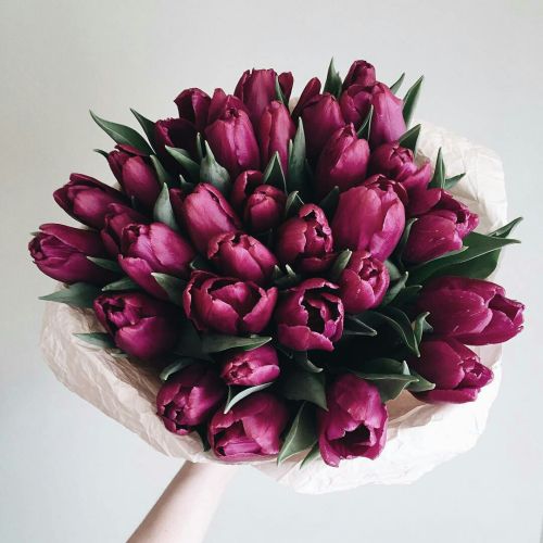 Bó Hoa Tulip Đẹp