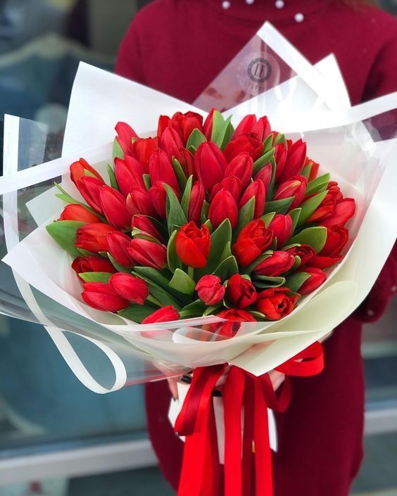 Bó Hoa Tulip Màu Đỏ