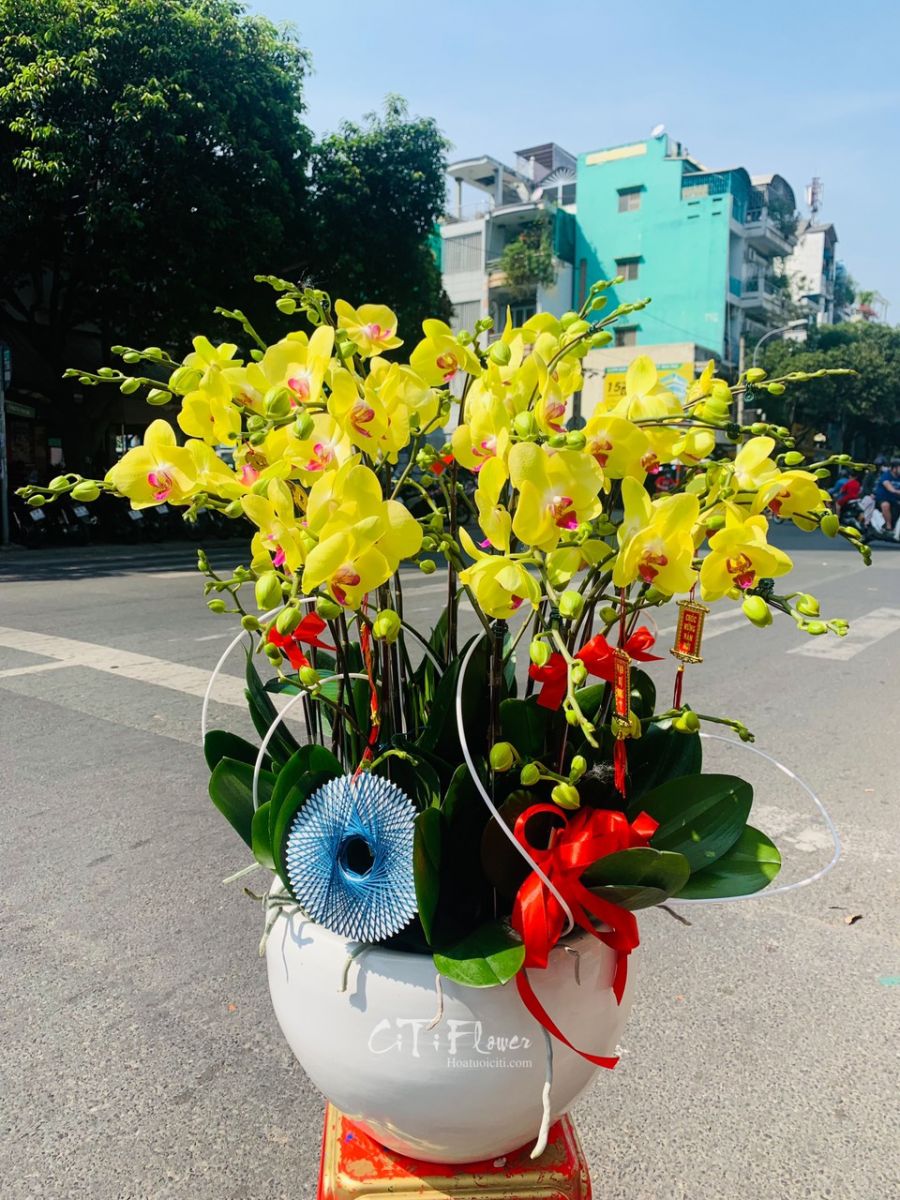 Shop Hoa Tươi Bình Chánh